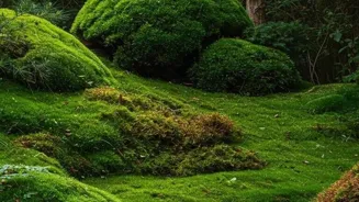 Find Peace: Mindfulness Can Change Your Life