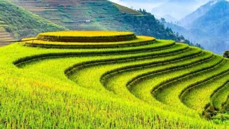 Top 10 Tips For Your Asian Adventure!