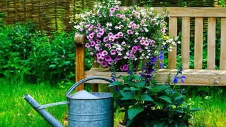 Live Well: Nature Offers Eco-Friendly Joy