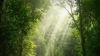 Get Healthy: Outdoor Trips Boost Well-being