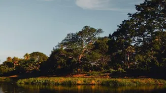 Find Daily Bliss With These 7 Mindfulness Steps