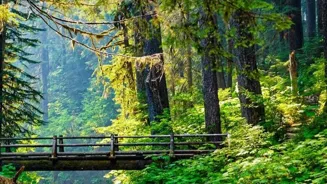 Go Outside: 7 Reasons to Love Nature