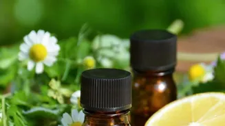 Find Serenity with 7 Aromatherapy Oils