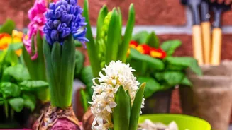 Find Brilliant Gardening Centers Here!