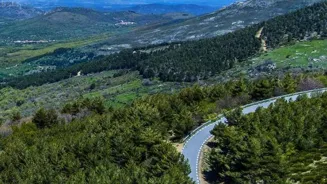 Discover Road Trip Wonders On Your Next Trip