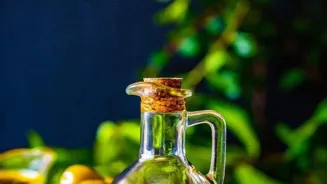 Olives Journey From Farm To Fine Dining