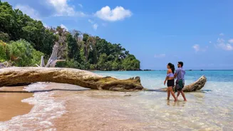 Cyclone Alert: Andaman Islands Tourists Warned