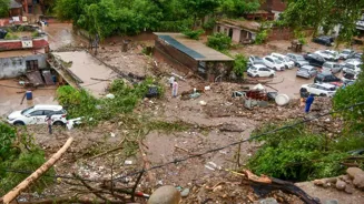 Court Flags Illegal Tree Cutting, Notices Sent