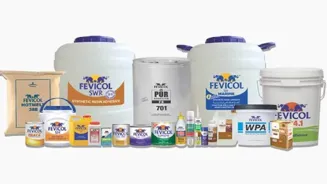 Pidilite Stock Rises on Strong Q1 Results