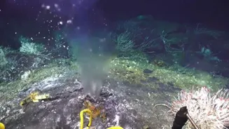 Underwater Volcano May Erupt by 2025