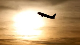 Bird Strike Forces Paris Plane Emergency Landing