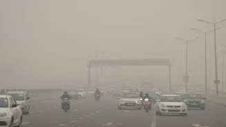 Delhi Vehicle Ban Had No Pollution Study
