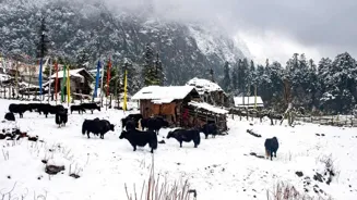 Most Indians Will Travel for Culture in 2025