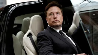 Tesla sees slow India sales after July launch
