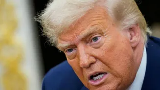 Trump Plans to Meet Putin, Zelenskiy Next Week
