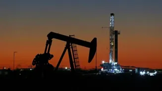 India To Seek Best Oil Deals: Russian Envoy