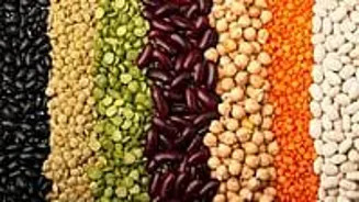 Indore: Gold, Silver, Pulses Prices on Sept 8