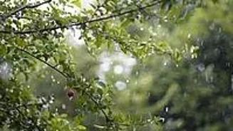Rainfall Expected in Parts of Tamil Nadu