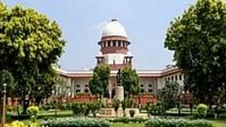 Court Probes Illegal Tree Felling After Floods
