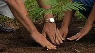 Plant Trees: Madhya Pradesh Speaker Urges