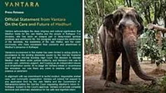 Elephant Madhuri To Get Rehab Center In Kolhapur