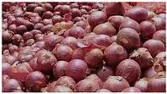 Onion Price Relief: Centre To Release Buffer Stock