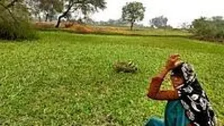Floods Ruin Crops for Uttar Pradesh Farmers