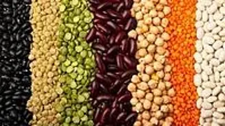 Indore: Gold, Silver, Pulses Prices Today