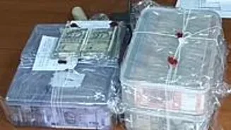Gwalior Robbery: Police Arrest Four Suspects