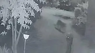 Leopards Spotted in Pune; Locals Unfazed