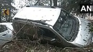 Rain Kills 55, Causes Huge Losses in Himachal