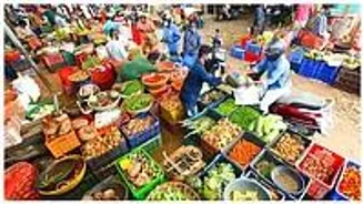 Wholesale Prices Fall Due to Cheaper Food, Fuel