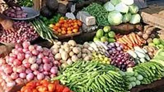 Tomato Prices Soar in Indore After Relief