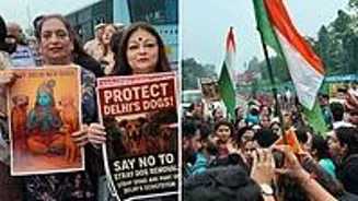 Delhi Dog Protest Turns Violent