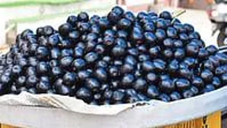 Jamun Has Ayurveda Approved Health Benefits