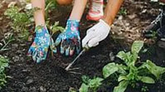 Rain Gardens Offer Hope To Communities