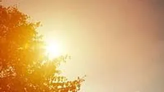 Madhya Pradesh: Sun Expected After Light Rain