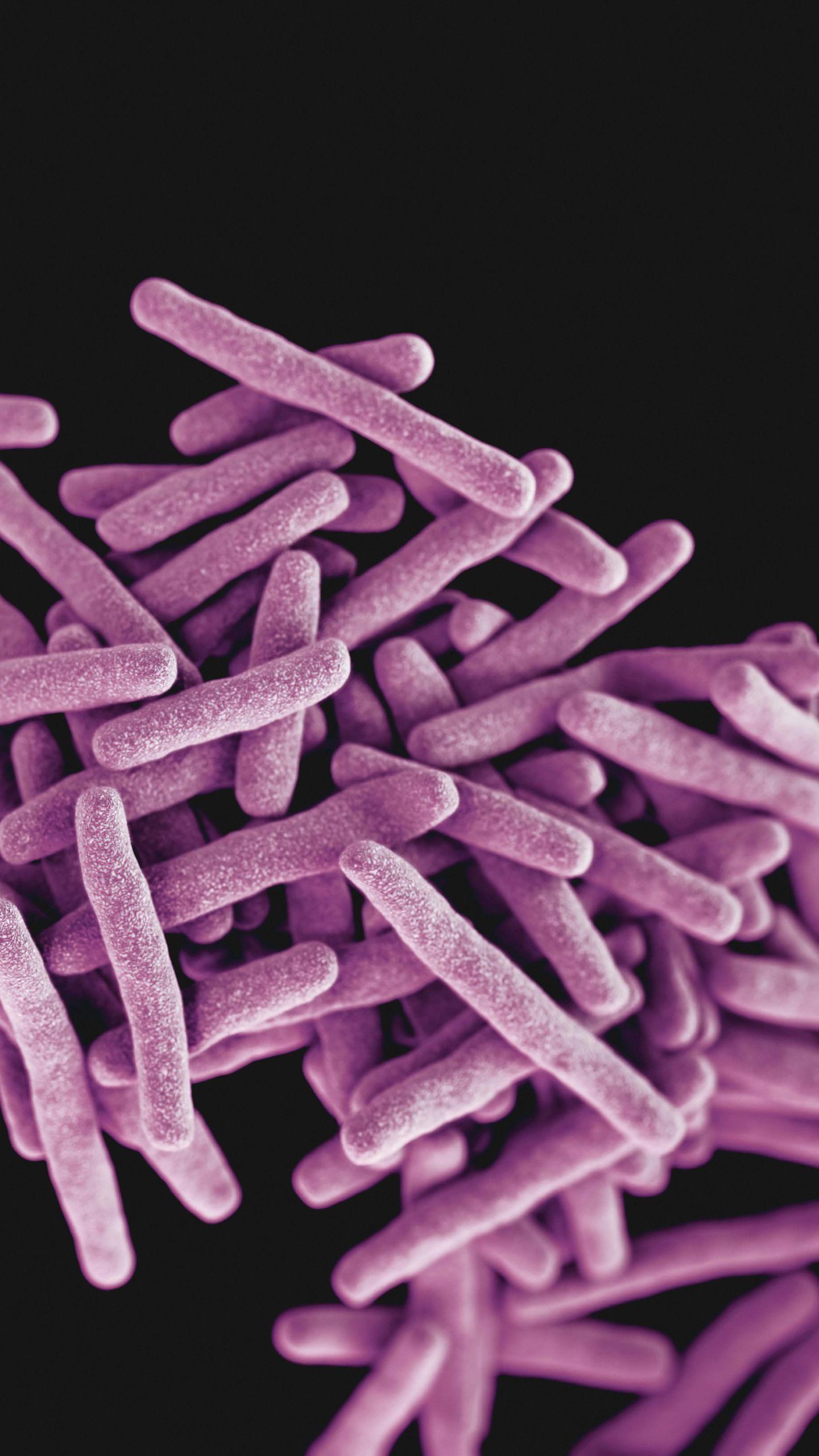 Study Reveals Gut Bacteria's Influence on Childhood Anxiety and Depression