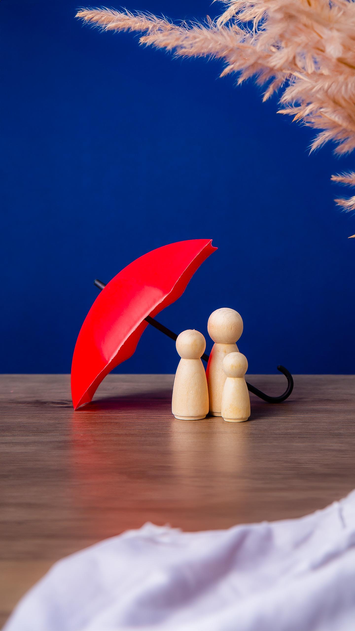 Shelter Dog Cash Awaits New Family After Multiple Returns