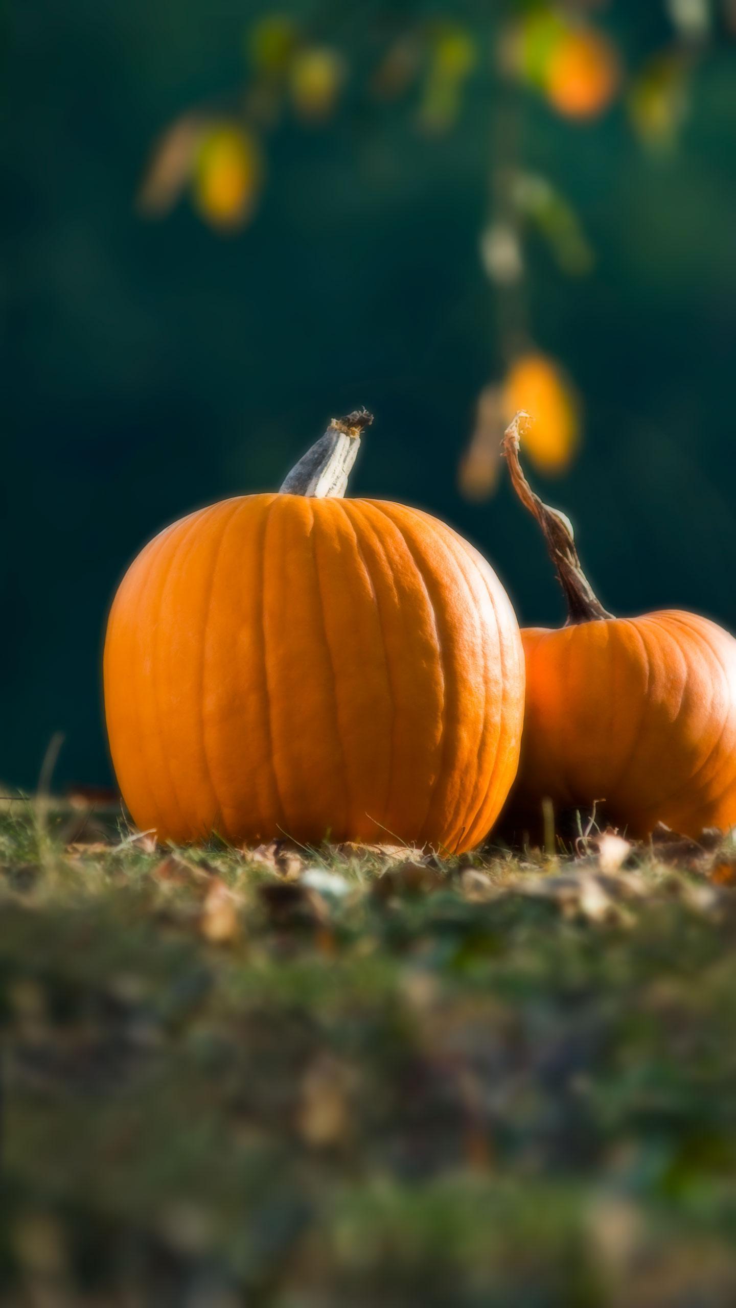 Lake County Solid Waste Agency Hosts Pumpkin Smash Events to Promote Environmental Benefits