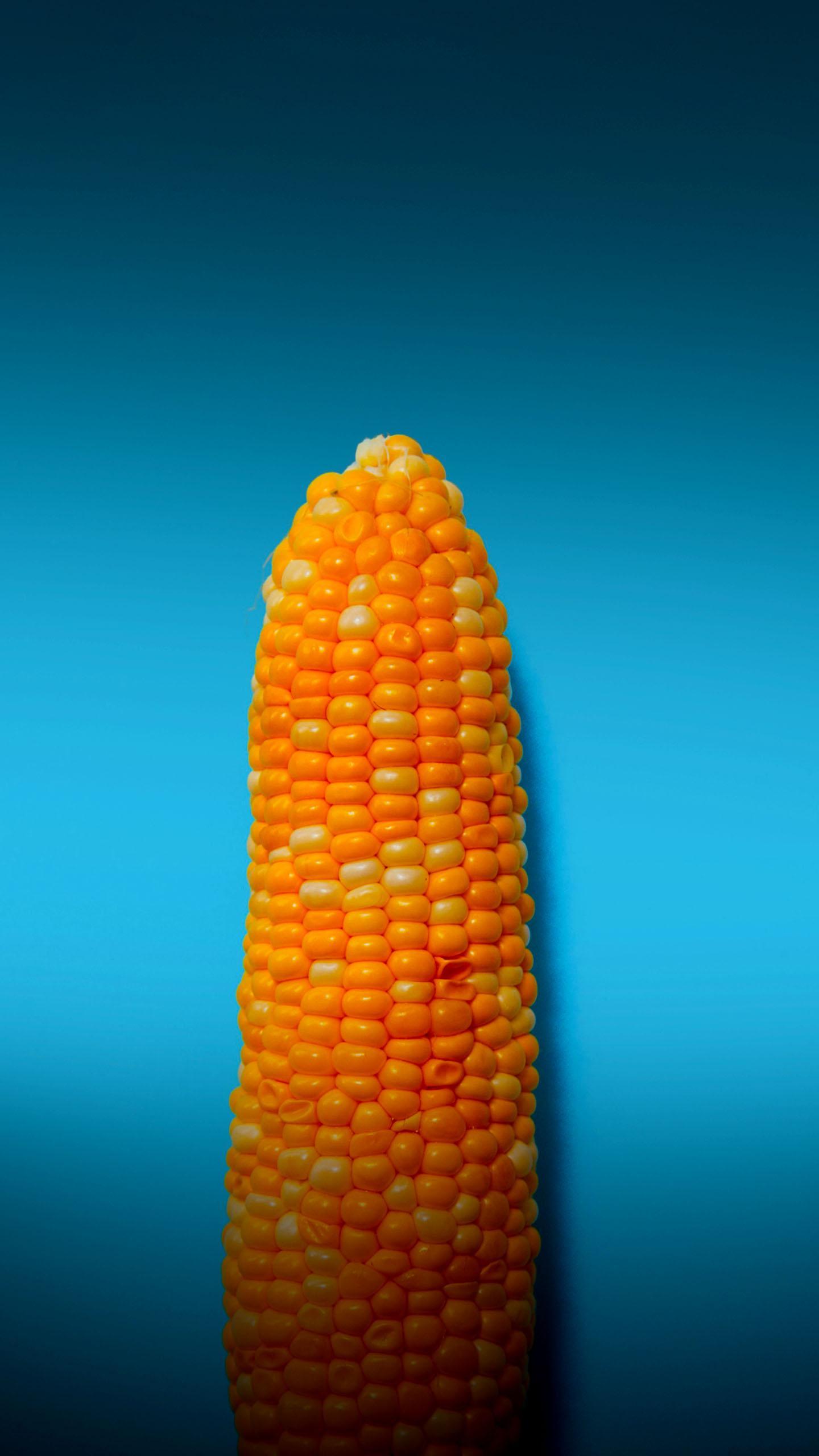 Cornulin Identified as Anti-Tumor Agent in Head and Neck Cancer