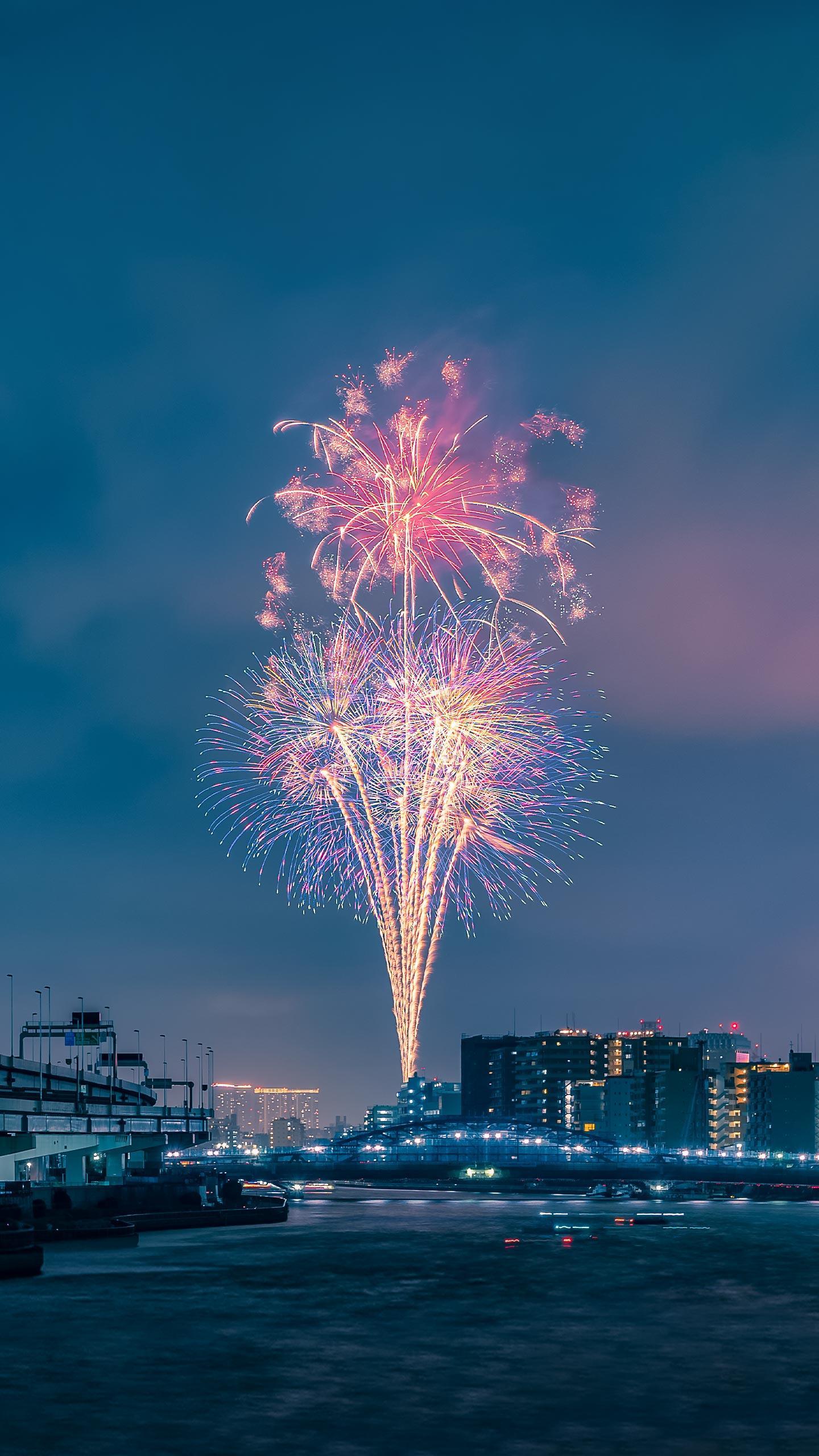 Guernsey Charity Highlights Fireworks' Impact on Pets and Wildlife