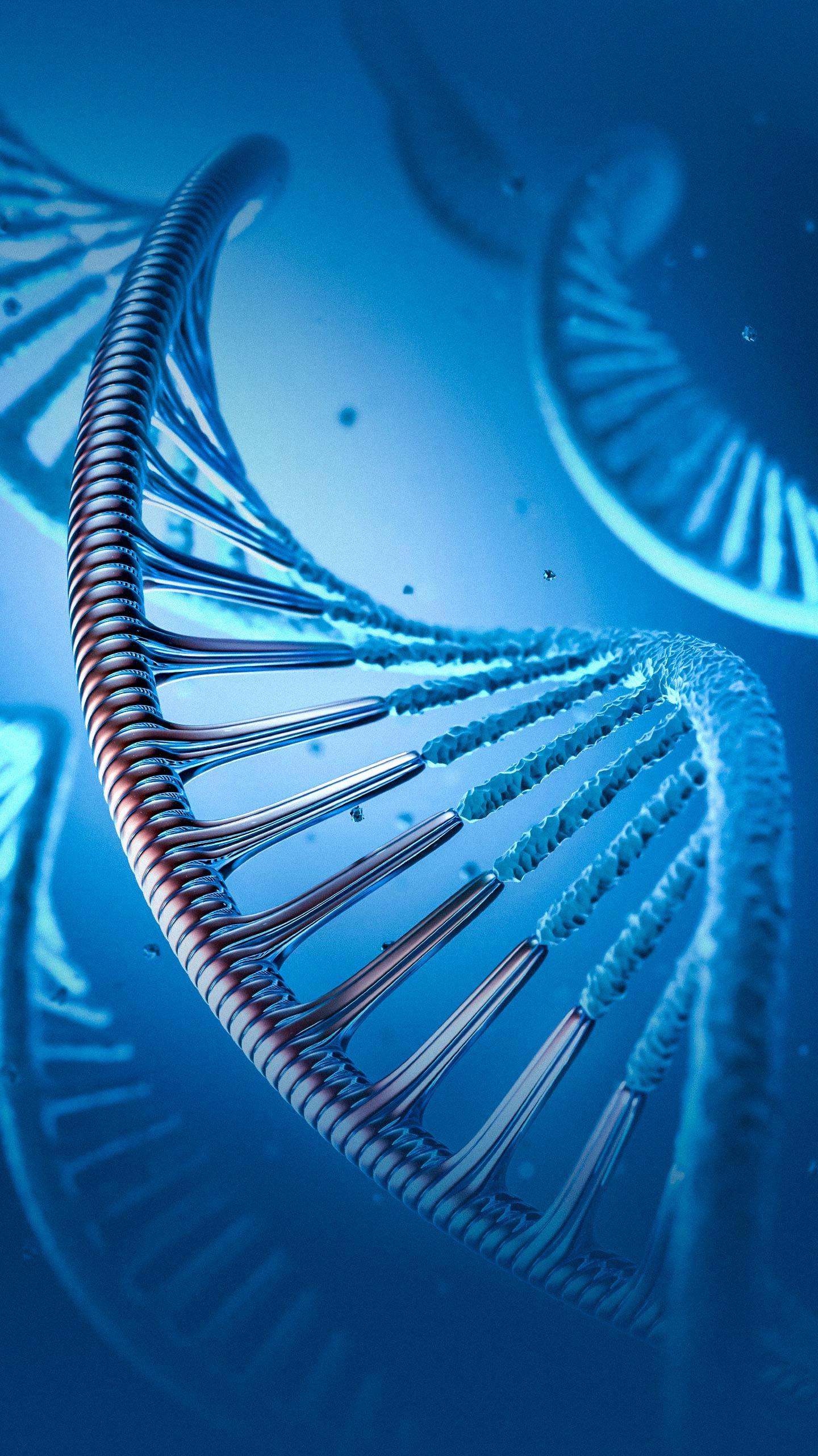 Cyclin A2 Gene Therapy Shows Promise as Heart Transplant Alternative