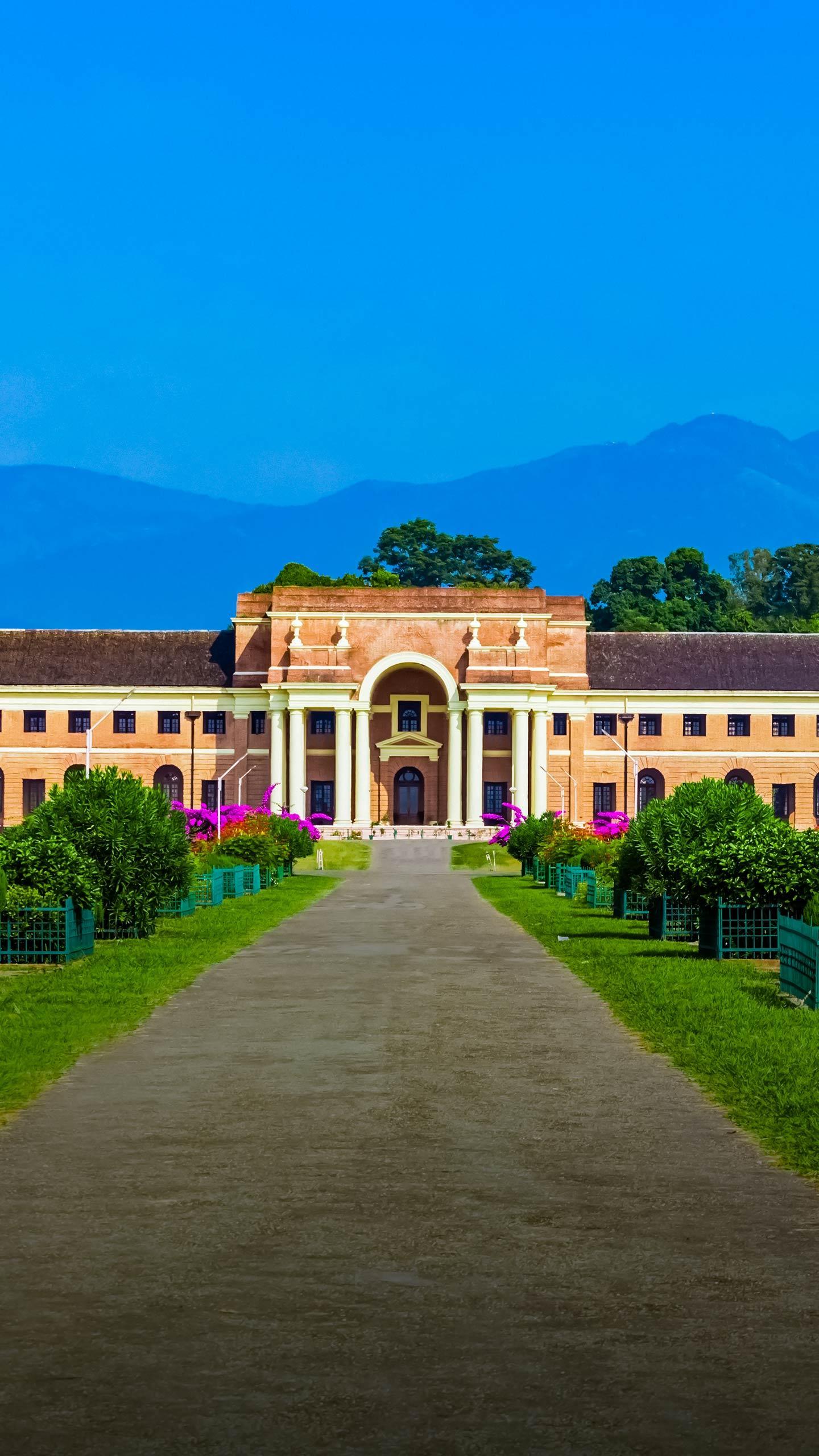 Scientists Uncover New Pathways in Autoimmune Disease Research, Offering Hope for Millions