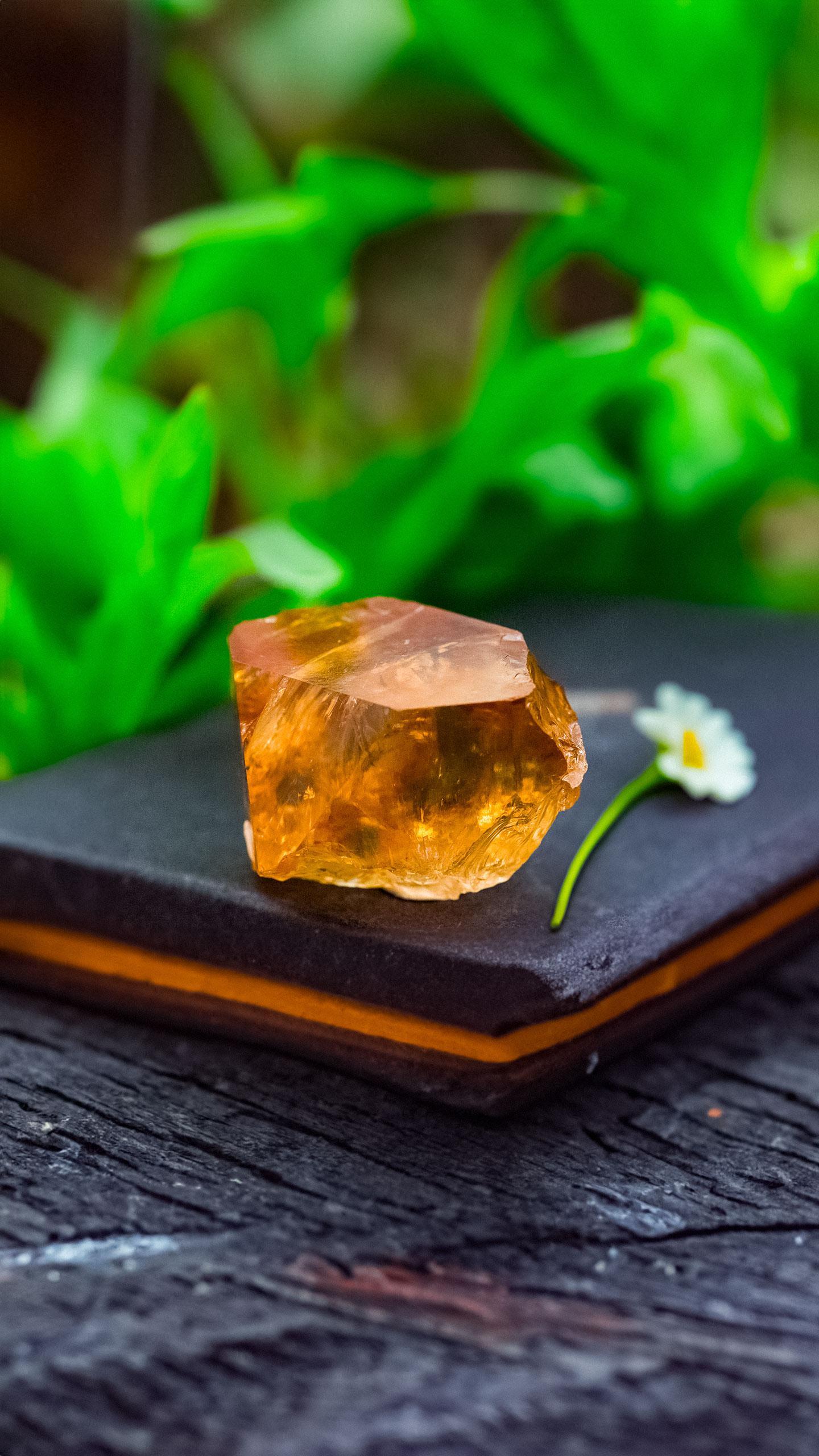 Researchers Discover Reptile Urine Crystals Could Aid in Treating Gout and Kidney Stones