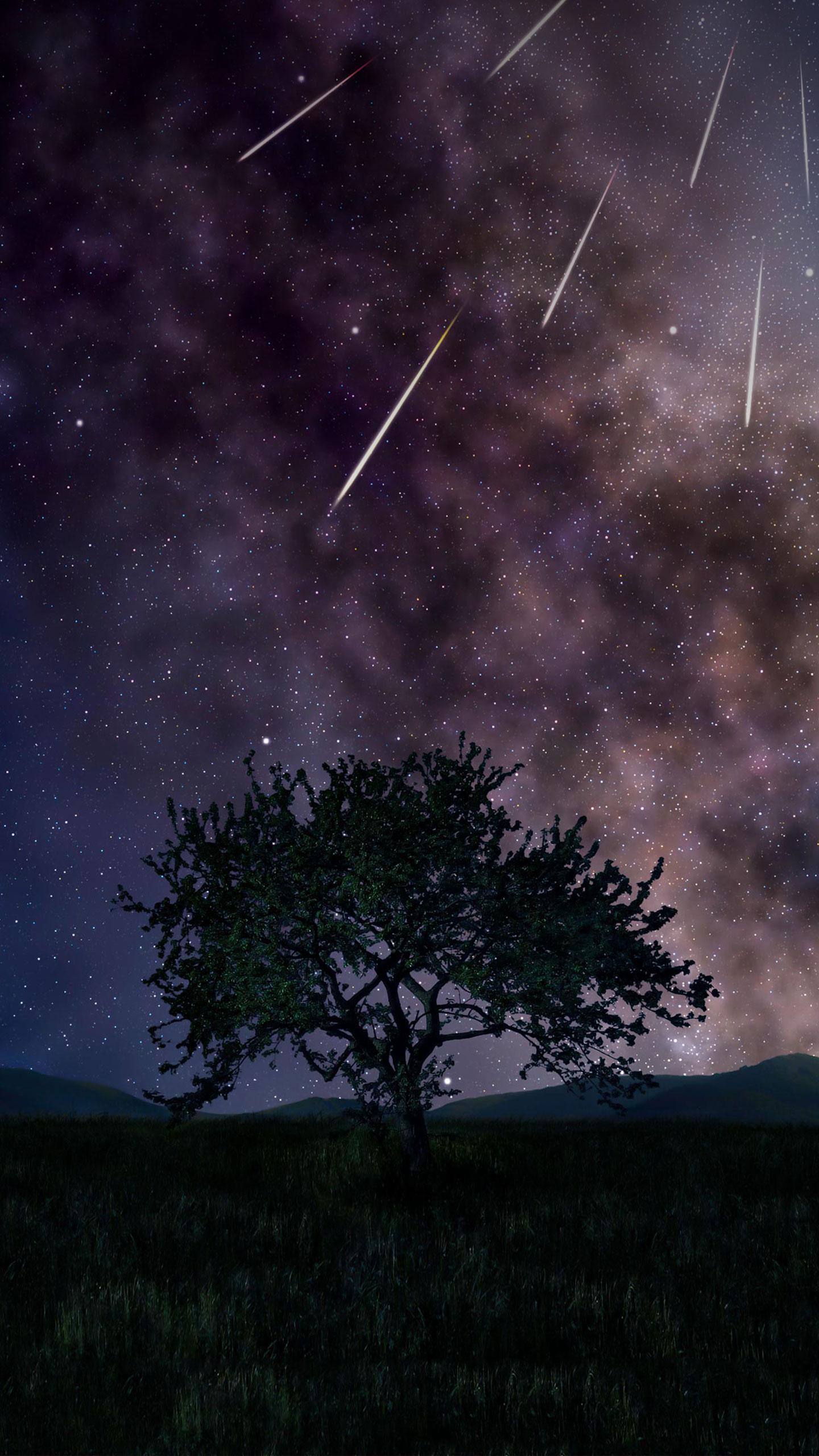 November's Beaver Supermoon and Meteor Showers to Dazzle Skywatchers