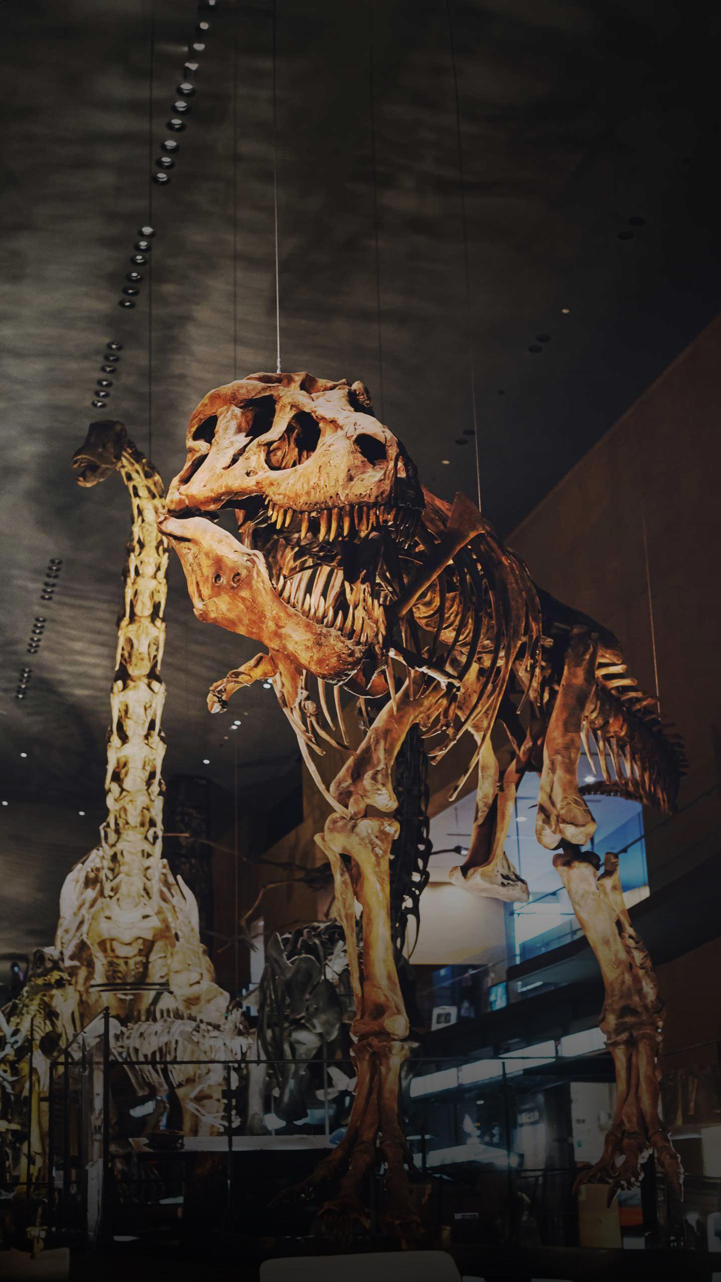 SMU's Dinosaur Choir Utilizes Ancient Skulls for Unique Musical Experience