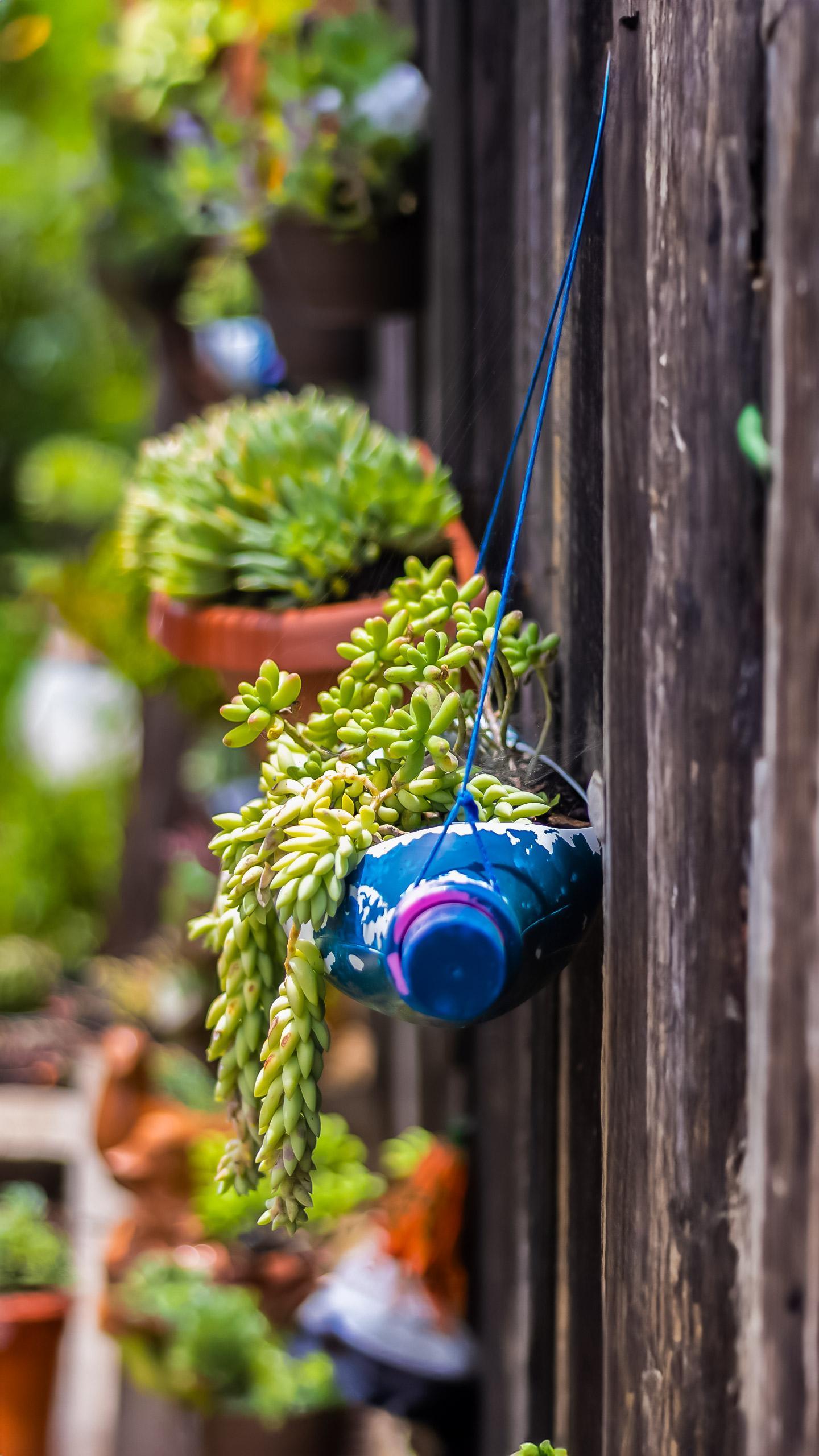 Planteray Rum Launches 2025 Single Casks with Unique Whisky Finishes