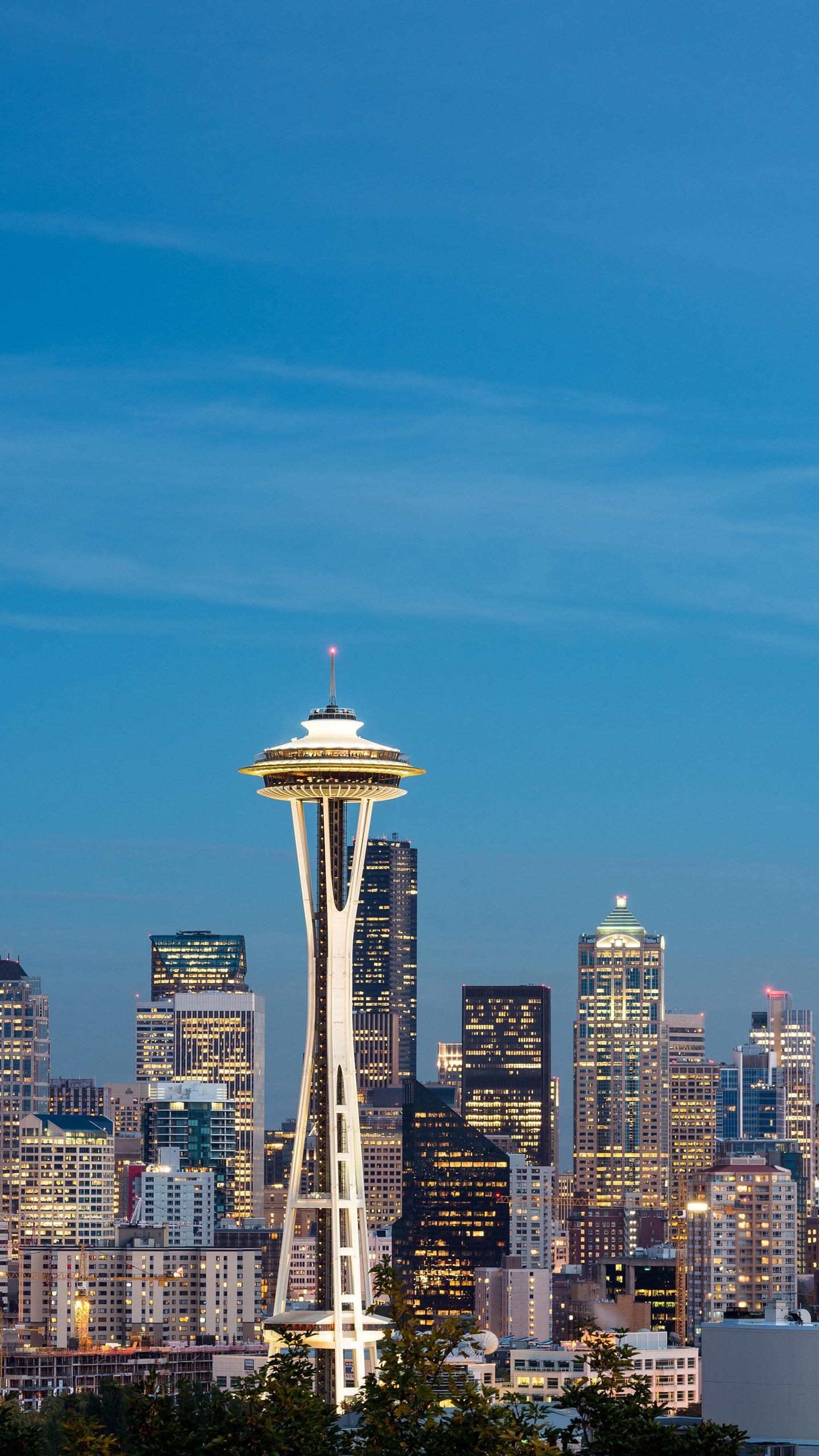 Indian Flag Hoisted at Seattle's Space Needle Celebrates India Day