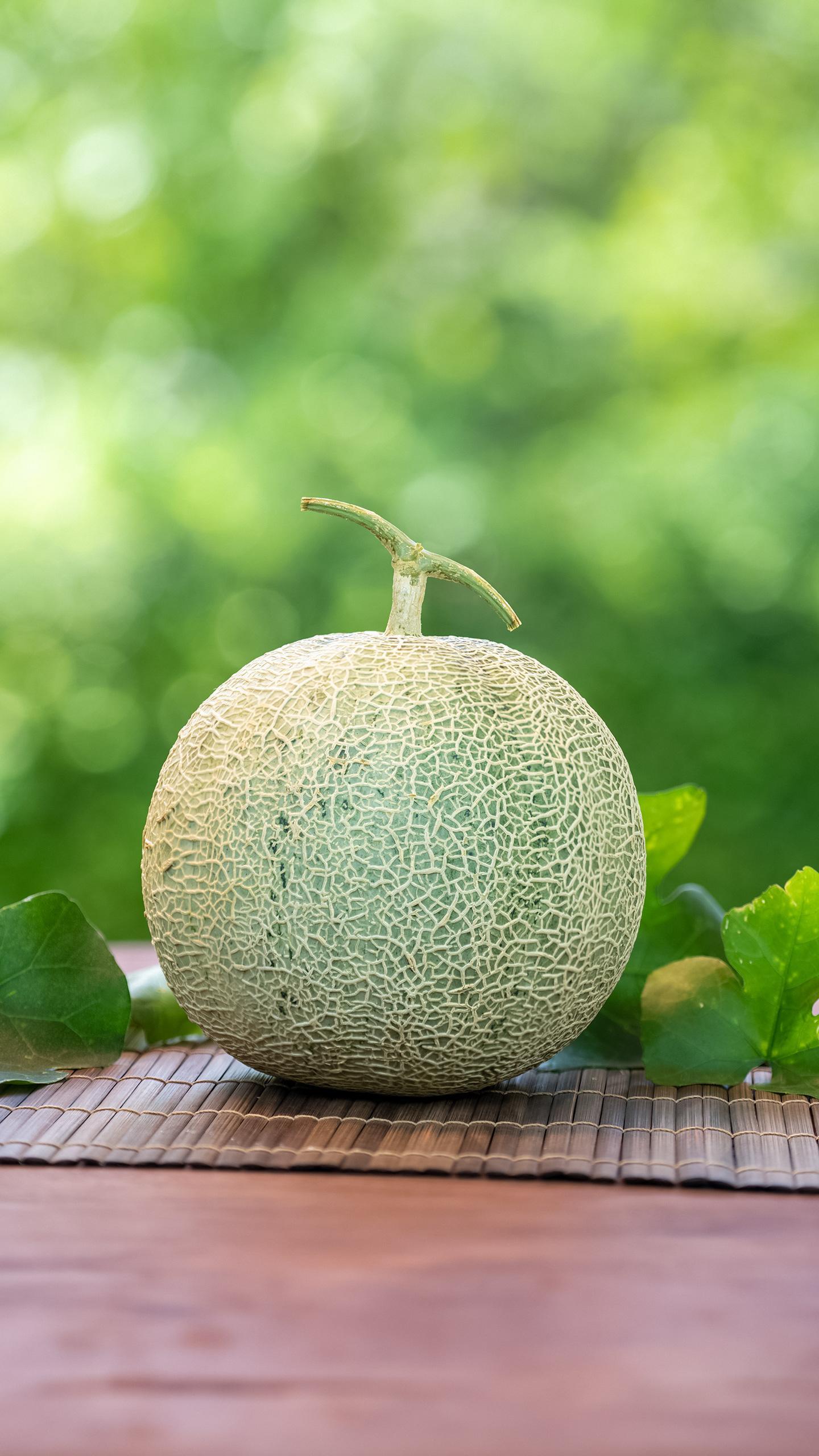 BMJ Stem Cell Study Faces Scrutiny Over Data Mismatches